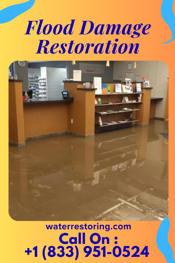Flood Damage Restoration in Brownsdale, FL