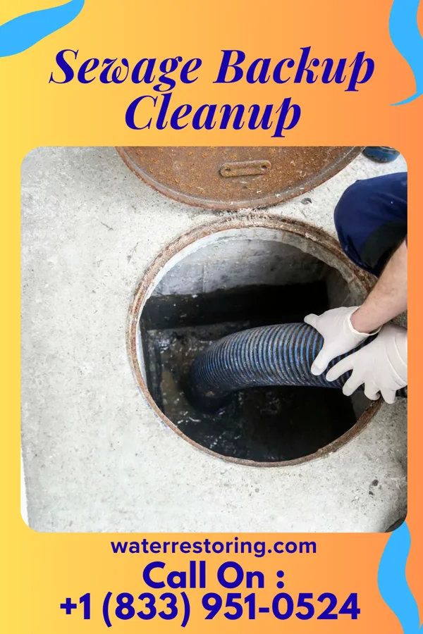 Sewage Backup Cleanup in Brownsdale, FL